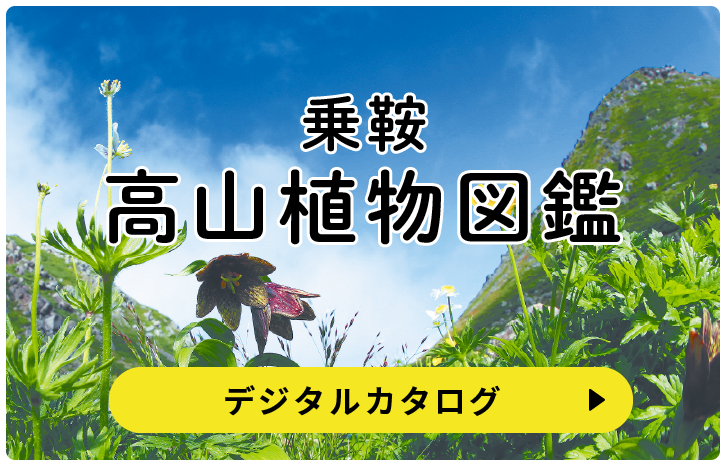乗鞍高山植物図鑑
